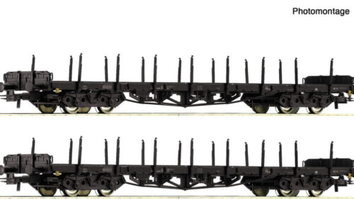 Roco 6600142 2er Set Rungenwagen Rs DB