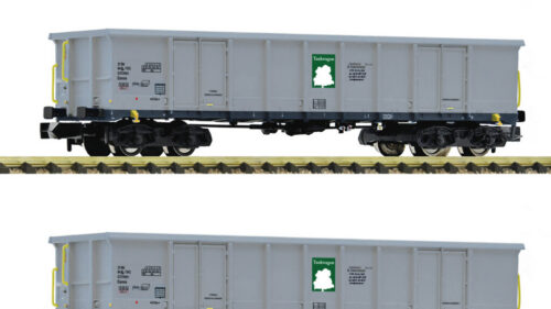 Fleischmann 6660160 2er Set offene Güterwagen Eanos Tankwagon