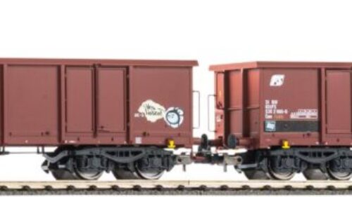PIKO 28310 2er Set Eaos mit Graffiti FS V